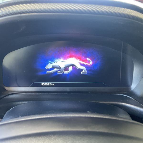Ford Puma 125 ch MHEV ST-Line X - Gris hayon électrique, pack hiver, caméra de recul