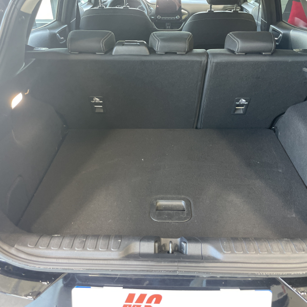 Ford Puma 125 ch Flexifuel mHEV 125ch E85 Titanium business