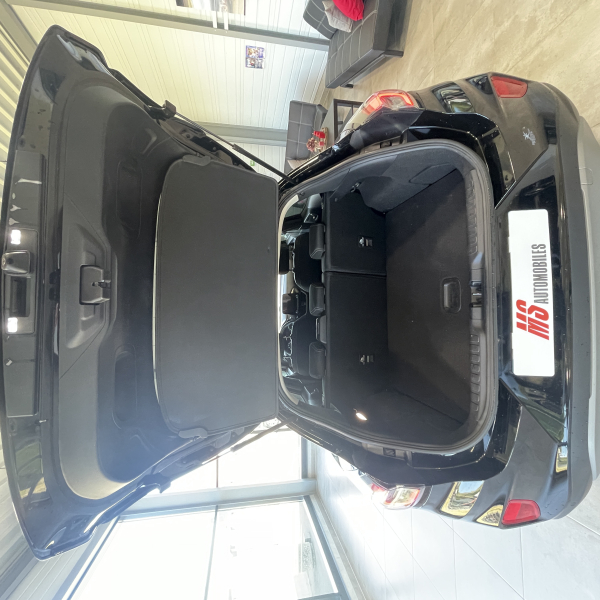 Ford Puma 125 ch Flexifuel mHEV 125ch E85 Titanium business