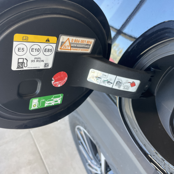 Ford Puma 125 ch Flexifuel mHEV 125ch E85 Titanium business